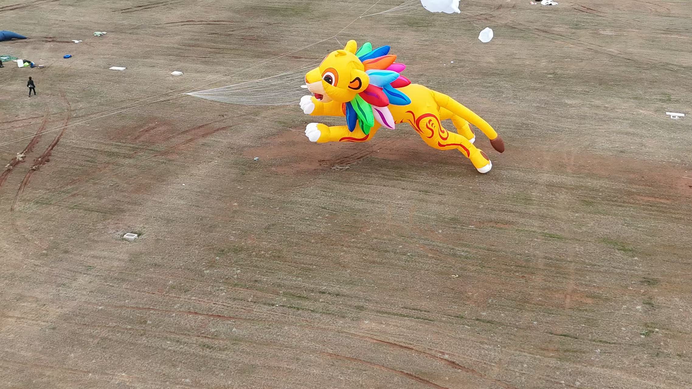 湖州市品牌风筝定制风筝制作 - 排名